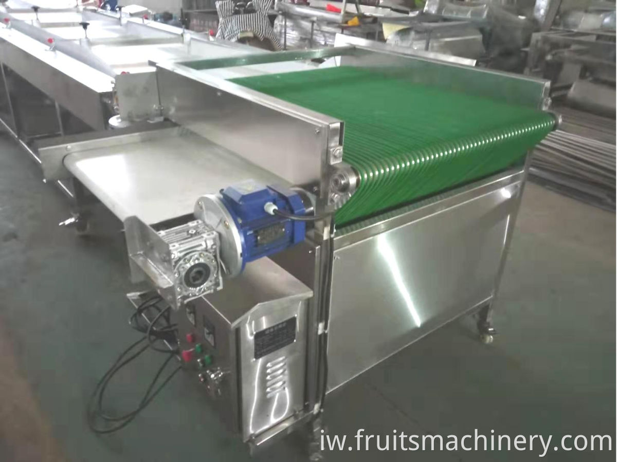 Blueberry Sorting Machine Grading Machine For Blueberry Plant